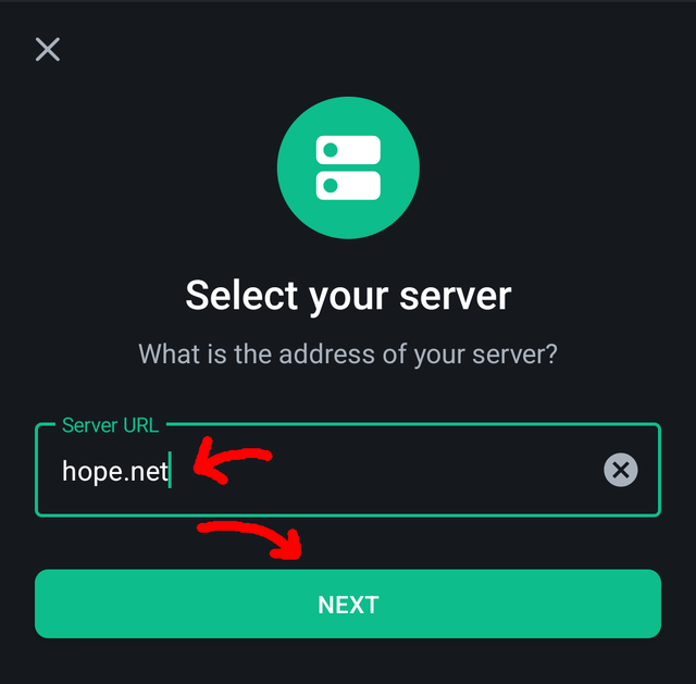 File:Element homeserver selection screen showing hope.net.png - HOPE Wiki